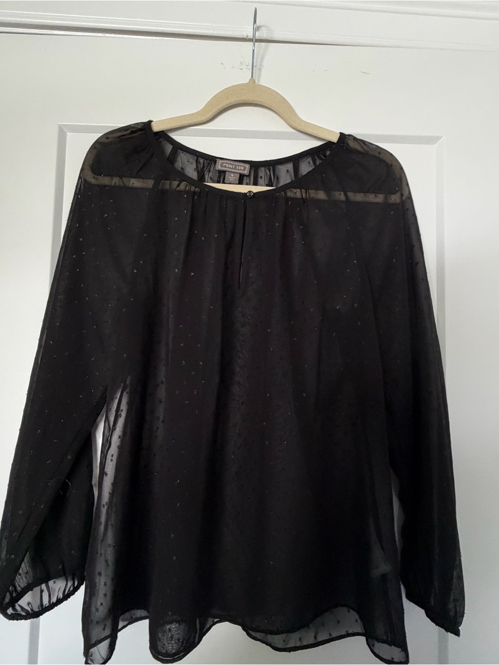 Point Sur Women’s Sheer Dot Blouse